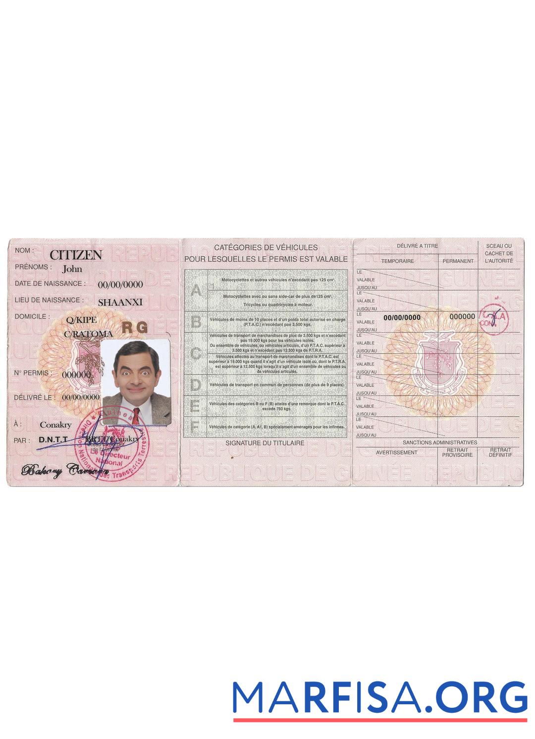 Realistic Guinea driving license example